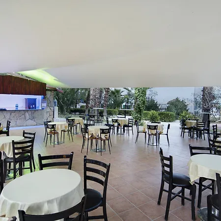 Larissa Mare ベルディビ